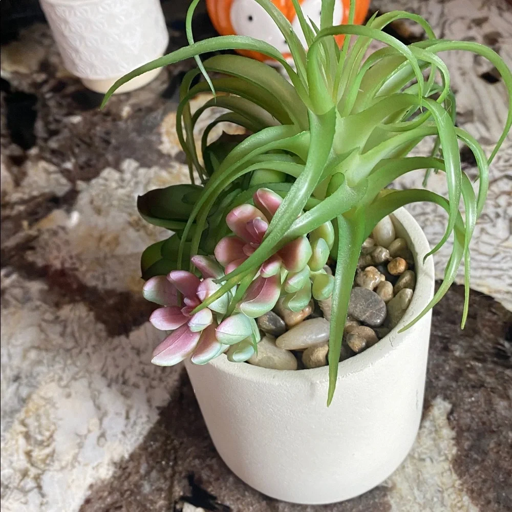 Green and Pink Succulent Arrangement in White Pot